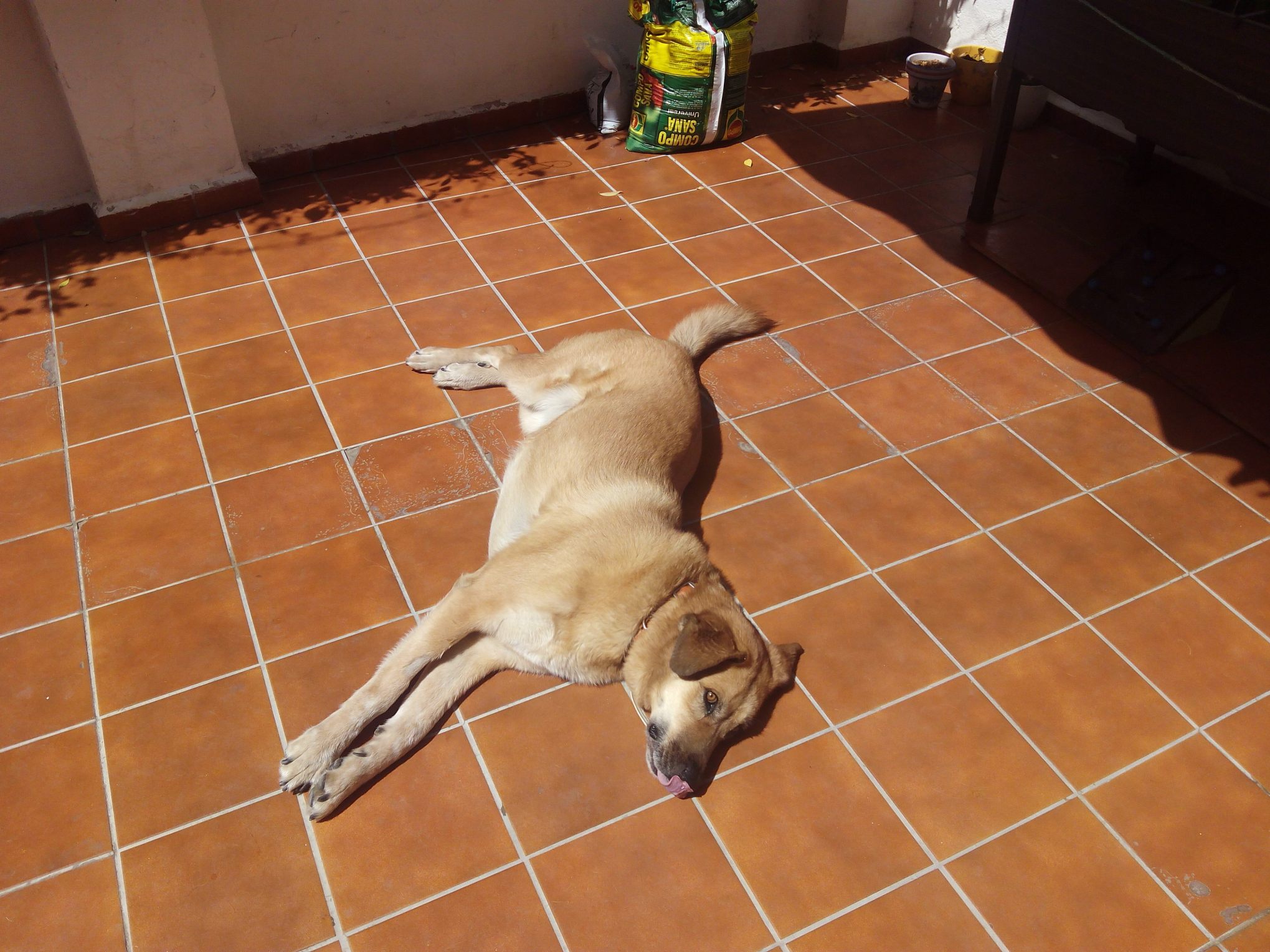 IMG_20160825_141353[1]